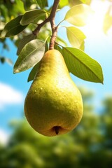 A ripe green pear hanging from a tree branch. Perfect for use in food and nutrition-related projects.
