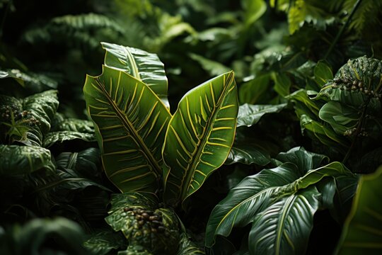 green leaves in the jungle wallpaper