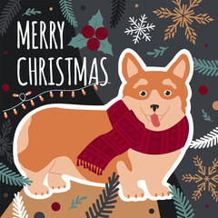 Christmas card with a cute corgi dog and winter elements. Vector illustration in trendy colors.