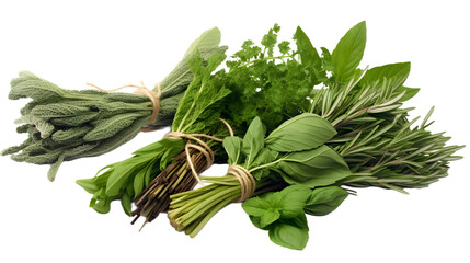 Fresh mediterranean herbs