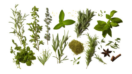 Fresh mediterranean herbs