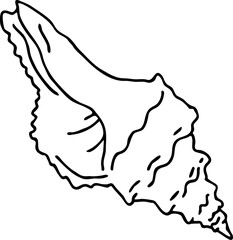 Sea shell natural beauty from ocean beach treasure collection. Summer time vacation mood. Aquarium exotic tropical decoration. Hand drawn boho retro vintage vector illustration. Old style line drawing