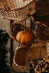 Fresh autumn harvest of pumpkins on a rural farm. Vibrant orange hues and seasonal decor for fall festivities