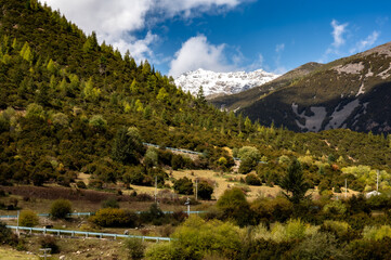 Obraz premium landscape in the mountains