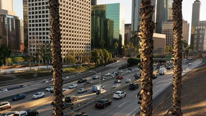 Los Angeles Downtown Busy Freeway Over Palm Trees Pan R Time Lapse - Powered by Adobe