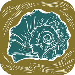 Sea shell natural beauty from ocean beach treasure collection. Summer time vacation mood. Aquarium exotic tropical decoration. Hand drawn boho retro vintage vector illustration. Old style line drawing