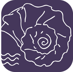 Sea shell natural beauty from ocean beach treasure collection. Summer time vacation mood. Aquarium exotic tropical decoration. Hand drawn boho retro vintage vector illustration. Old style line drawing