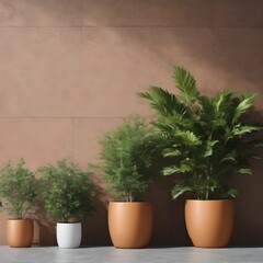 Plants in pots at wall background