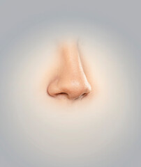 isolated  perfect woman nose