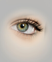 isolated perfect woman green eye