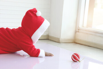 African baby kid in red Santa Claus costume crawling to grab ball ornament in white living room, beautiful little child girl celebrating Christmas winter holiday. Merry Christmas, happy childhood