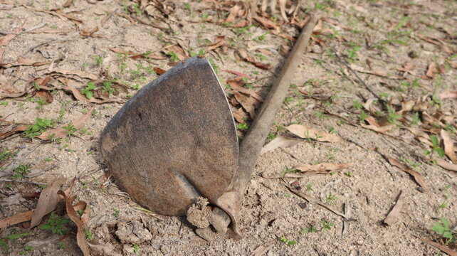 Old Hoe 