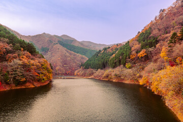 奥多摩湖の秋風景2022