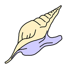 Sea shell natural beauty from ocean beach treasure collection. Summer time vacation mood. Aquarium exotic tropical decoration. Hand drawn illustration. Line drawing.