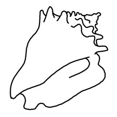 Sea shell natural beauty from ocean beach treasure collection. Summer time vacation mood. Aquarium exotic tropical decoration. Hand drawn illustration. Line drawing.