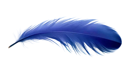 Fotobehang blue feather isolated on transparent background cutout © Papugrat