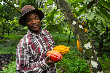 Satisfied farmer collects cocoa pods in his field in Cameroon