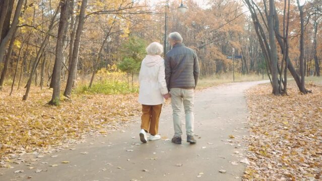 loving old people walk nature have fun in forest park. Cute senior grandparents enjoy talk. Happy elder family stroll close up. Old pensioners have a date Slow motion