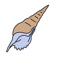 Sea shell natural beauty from ocean beach treasure collection. Summer time vacation mood. Aquarium exotic tropical decoration. Hand drawn illustration. Line drawing.