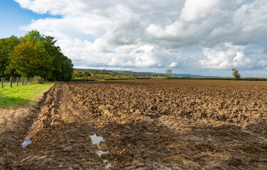 Ploughed field, Cotswolds, England - 669191609