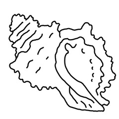 Sea shell natural beauty from ocean beach treasure collection. Summer time vacation mood. Aquarium exotic tropical decoration. Hand drawn illustration. Line drawing.