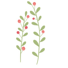 wild floral illustration