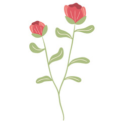wild floral illustration