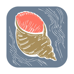 Sea shell natural beauty from ocean beach treasure collection. Summer time vacation mood. Aquarium exotic tropical decoration. Hand drawn illustration. Line drawing.