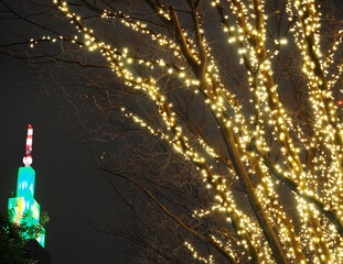 新宿サザンテラス イルミネーション