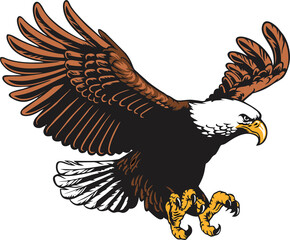 Eagle swoop attack position. Hawk bird, Eagle in high resolution on transparent background. Eagle as a symbol of height, strength, and power. PNG file.