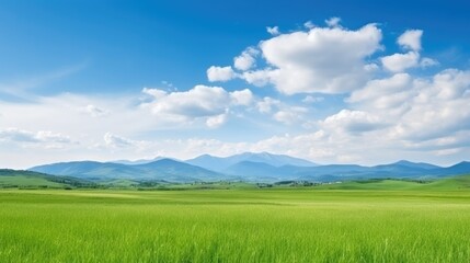 Fototapeta premium Panoramic nature landscape with green grass, blue sky with clouds and mountains in the background