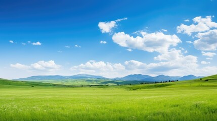 Obraz premium Panoramic nature landscape with green grass, blue sky with clouds and mountains in the background