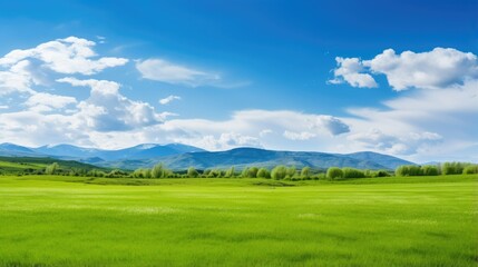 Fototapeta premium Panoramic nature landscape with green grass, blue sky with clouds and mountains in the background
