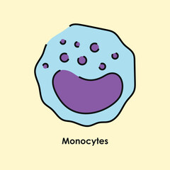 Monocytes color icon. White blood cells in the blood vessels.