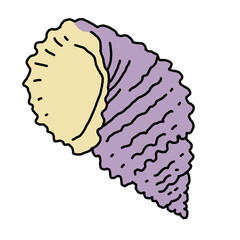 Sea shell natural beauty from ocean beach treasure collection. Summer time vacation mood. Aquarium exotic tropical decoration. Hand drawn illustration. Line drawing.