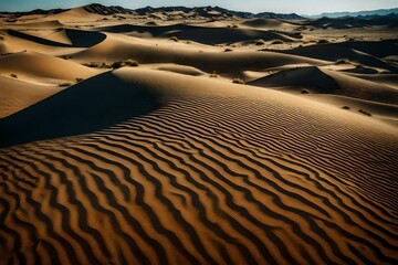 sand dunes in the desert