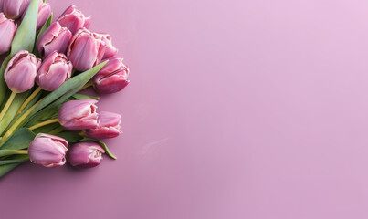 Graceful purple tulips on a delicate pink hue.