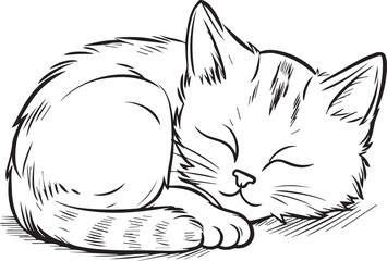 felini animali carnivori, tigri e leoni, gattini felici 09