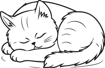 felini animali carnivori, tigri e leoni, gattini felici 08