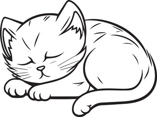 felini animali carnivori, tigri e leoni, gattini felici 06