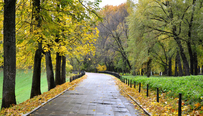 Fototapeta na wymiar empty road in autumn park