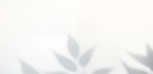 Abstract silhouette shadow white background of natural leaves  falling on wall. Nature leaves and plant shade with sunlight  dappled on white wall texture for background wallpaper and design