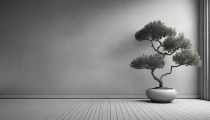 Foto op Plexiglas textured neutral grey wall copy space monochrome empty room with bonsai tree wall scene mockup product for showcase promotion background © Art_me2541