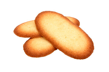 Langues de chat / fond transparent