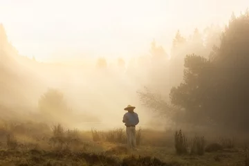 Poster Woman in nature in meadow sunset with mist golden light, back with straw hat, subject in the foreground not in focus © VICTOR
