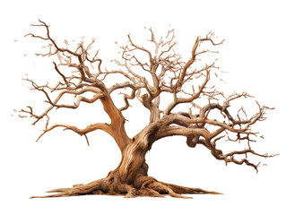 Beautiful dead tree on PNG transparent background for Halloween and horror movie decoration.