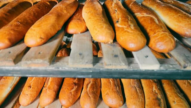 Freshly baked baguettes on the shelves in the bakery. Baking bakery products, loaves, baguettes. Close up