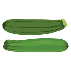 Vector illustration of zuchchini vegetable in flat style. Single, group, whole and sliced fresh zuchchini. Agriculture organic healthy vegetable good for vegetarian. Raw Zuchchini isolated on white