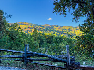 Fototapeta na wymiar Fall in the Great Smokey Mountains National Park