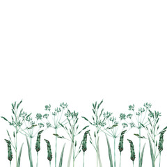Watercolor illustration with wild and dry grass. Horizontal seamless border. Evergreen grass field in nature, meadow in springtime. Ornament for wallpaper, card, border, banner. Natural green tones